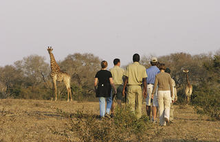 Informative bush walks